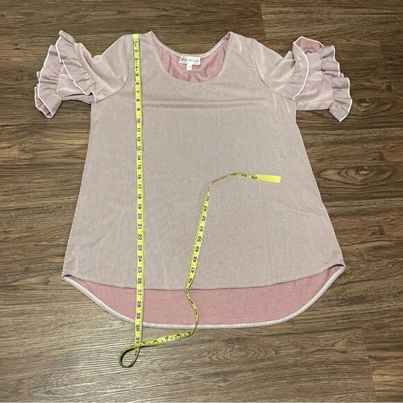 Star Vixen Short Ruffled Sleeve Striped Blouse Mauve and Light Pink Size 1X - Picture 10 of 10